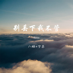 别再闹了 (Remix)