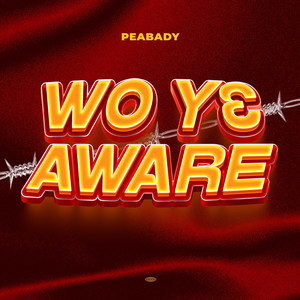 Wo Y3 Aware