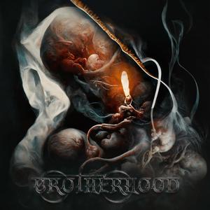 Brotherhood (Explicit)