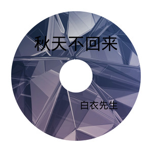 秋风落叶 (DJ版)