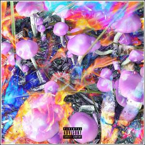 Scarred Up (Explicit)