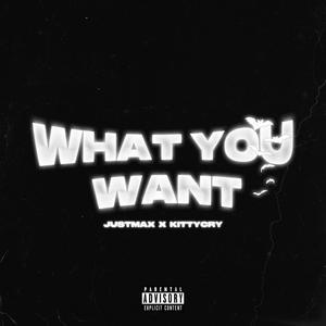 WHAT YOU WANT (feat. KITTYCRY) (Explicit)