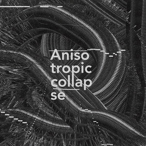 Anisotropic Collapse