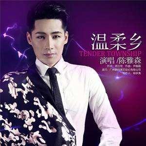 陈雅森-温柔乡 (DJ阿福 Remix)