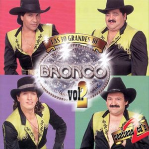 Las 30 Grandes De Bronco Vol. 2