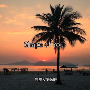 Shape Of You