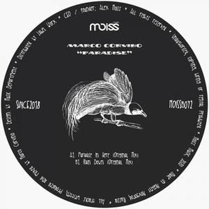 Paradise In Here (Original Mix)