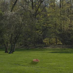 i think i might love her (feat. Daltmd) (Explicit)