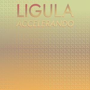 Ligula Accelerando