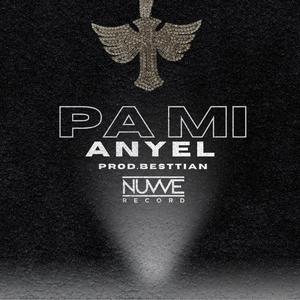 Pa mi (feat. Nuvve Record & Besttian)
