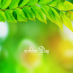 식목일 (Arbor Day)