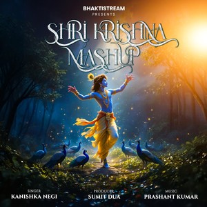 SHRI KRISHNA MASHUP