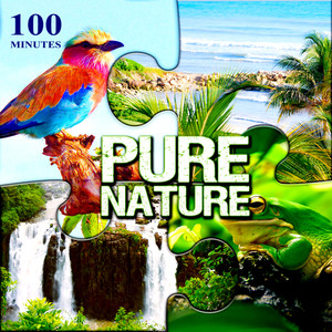 100 Minutes Pure Nature – Relax in Exotic Paradise with Bubbling Brook, Ocean Waves, Birds, Crickets, Frog, Waterfalls, Rain, Wind