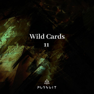 Wild Cards 11