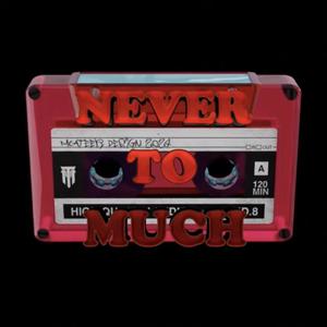 Never To Much (feat. Ashton Boya & Exclusiv Boyz)