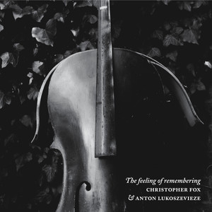 The feeling of remembering IV