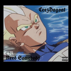 Need Somebody (feat. BigDon) (Remixed Version|Explicit)
