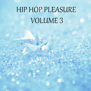 Hip Hop Pleasure, Vol. 3