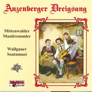 Anzenberger Dreigsang - Mittenwalder Maultrommler - Wallgauer Soatnmusi