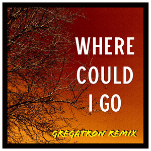 Where Could I Go (Gregatron Remix) [with Gregatron]