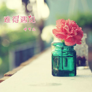难得遇见 - 呼可儿（呼明莉）封面