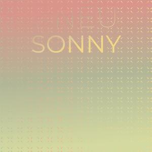 Pneu Sonny