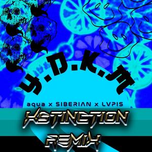 YDKM (Xstinction Remix|Explicit)