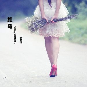 红马 (伴奏)