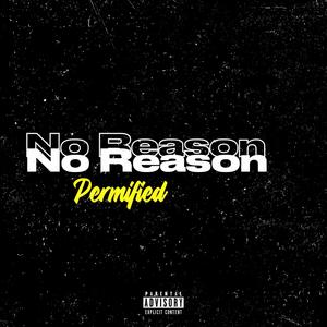 No Reason (Explicit)