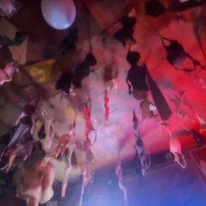 Fantasize (ksskss) [Explicit]