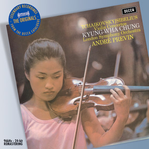Violin Concerto in D Major, Op. 35, TH 59 - 1. Allegro moderato