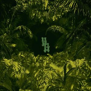 Deep Jungle(feat. McSalmaElMalo) (Explicit)