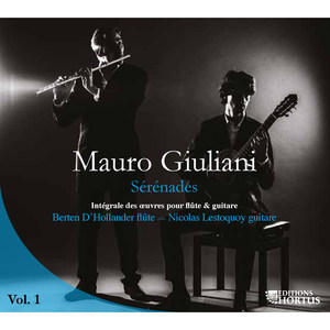 Grande Sérénade en Ré Majeur, Op. 82 - IV. Variation 3 (Piu lento)