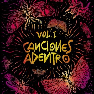 Canciones Adentro, Vol. 1