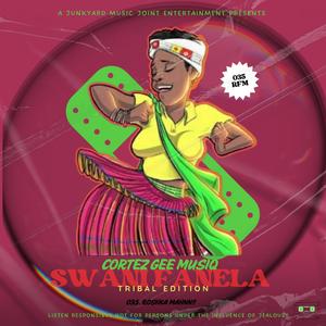 Swani Fanela Tribal Mix