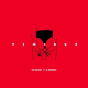 Timidez(feat. El Ingeniero)