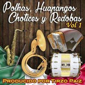 Polkas, Huapangos, Chotices y Redobas, Vol. 1