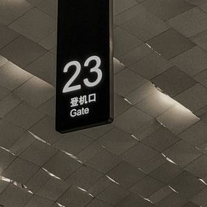 原谅我真的离不开你 (Single Version)