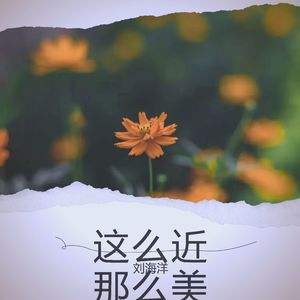 这么近 那么美 (Demo)