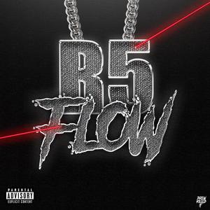 R5 FLOW (feat. Yung Avi) [Explicit]