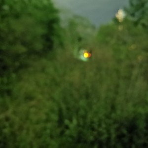 feather underneath your wing