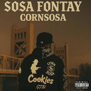 STOOPID (feat. YOUNG MEZZY) (Explicit)