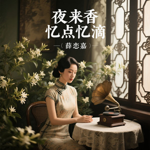 夜来香 忆点忆滴 (激情版2)