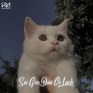 Sài Gòn Đâu Có Lạnh (Remix)