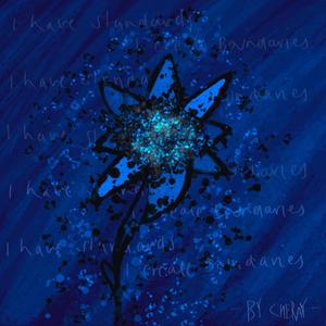 i have standards, i create boundaries (slowed)