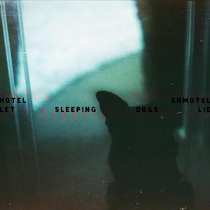 Let Sleeping Dogs Lie