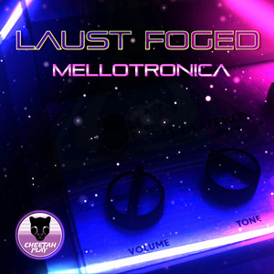 Mellotronica (Club Version)