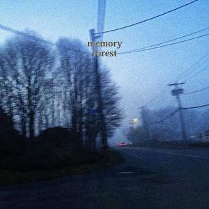 memory forest (Explicit)