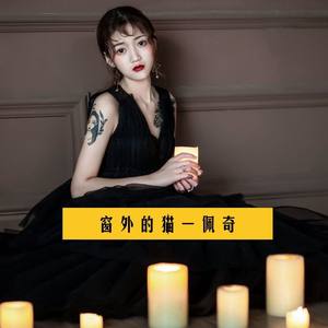 窗外的猫 (伴奏)