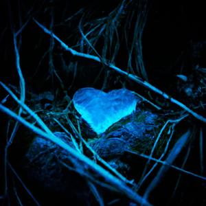 Corazón Polar (Explicit)